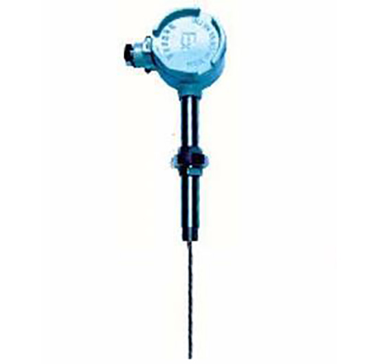 活絡(luò )管接頭式防爆熱電阻